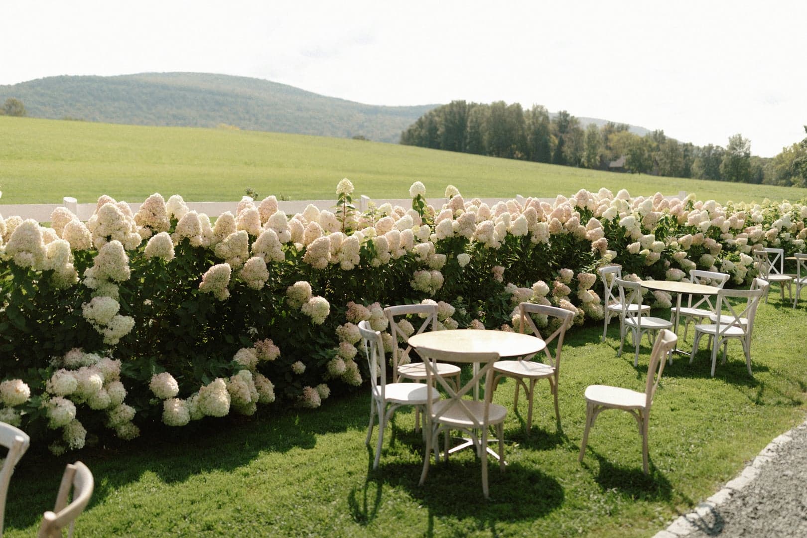 Jak uspořádat ekologicky šetrnou svatbu